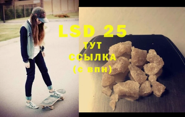 спиды Богородицк