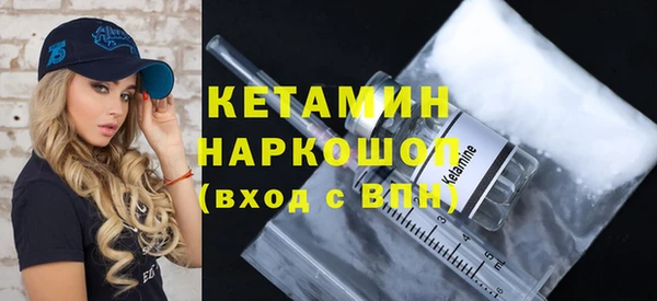 спиды Богородицк
