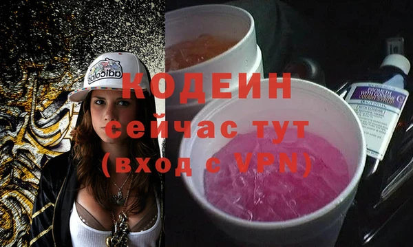 спиды Богородицк