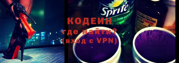 спиды Богородицк