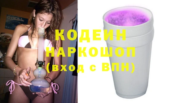 спиды Богородицк