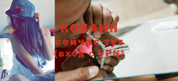 спиды Богородицк