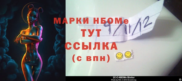 спиды Богородицк