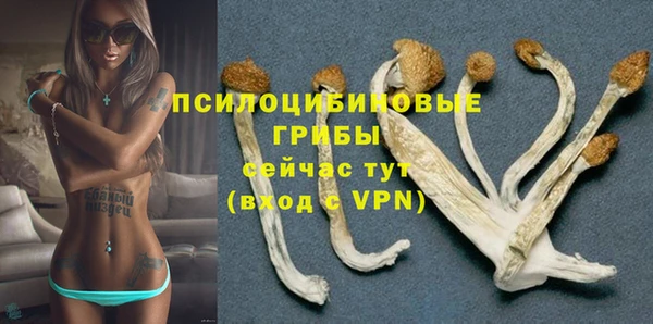 спиды Богородицк