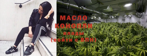спиды Богородицк