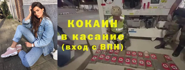 спиды Богородицк